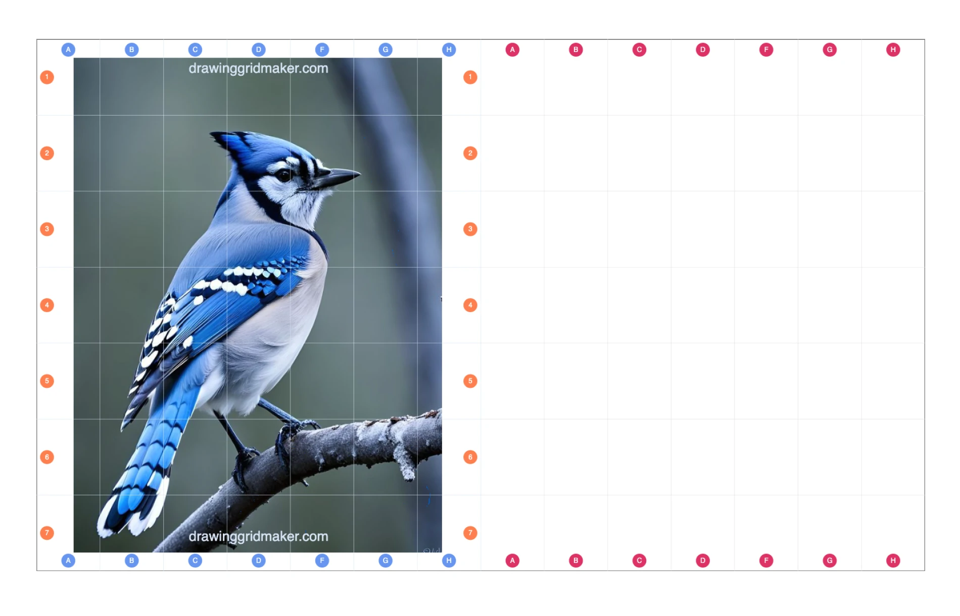 Free Download Easy Grid Drawing Worksheet Pdf: Animals Blue Jay
